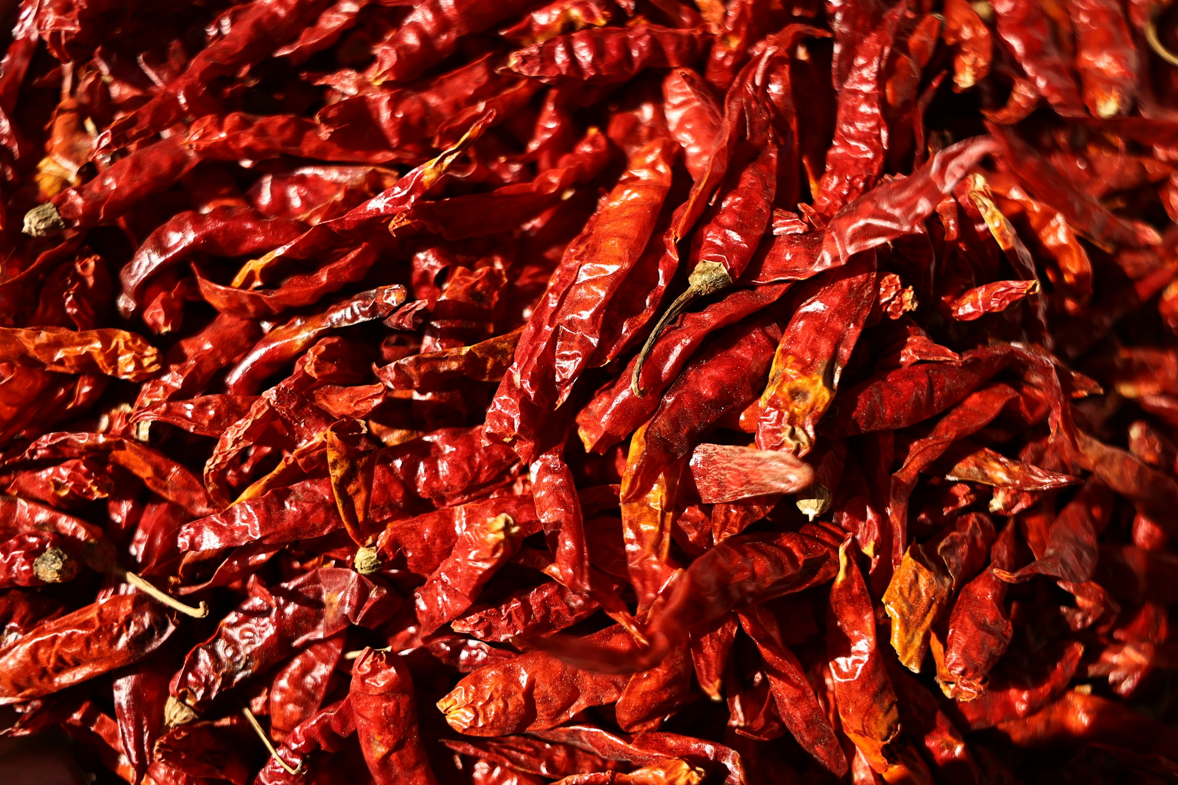 Spices, exported from India by Roman Maritime